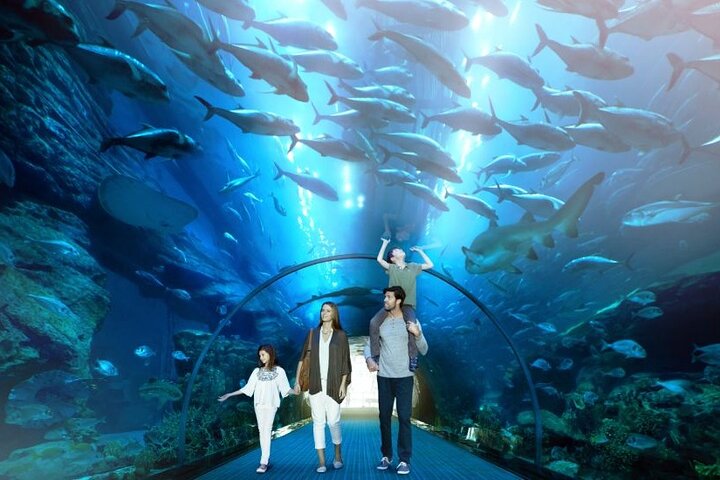 Dubai Mall Aquarium and Underwater Zoo Ticket