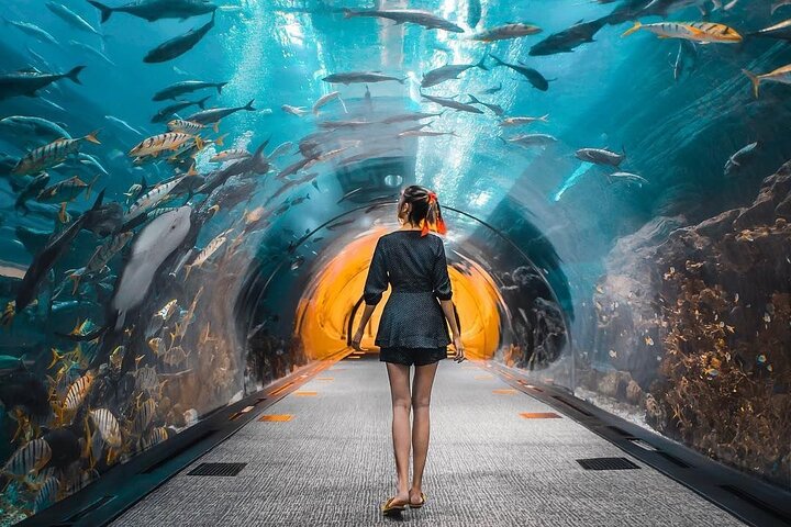 Dubai Aquarium And Underwater Zoo